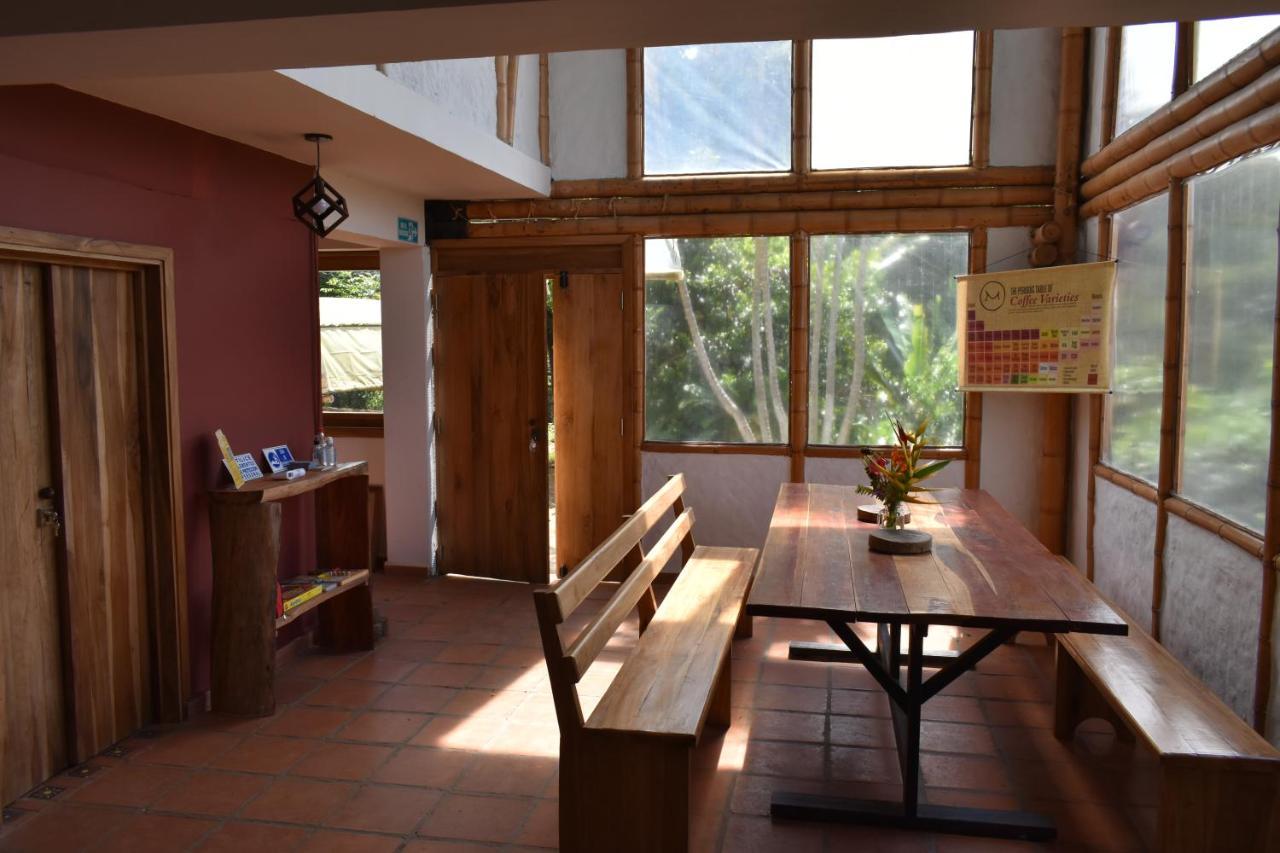 Finca Cafetera Momota Salento Exterior photo